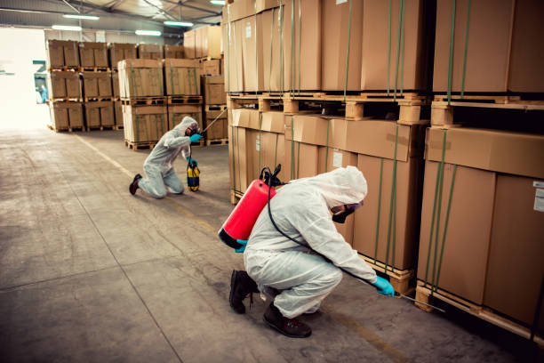 Best Wasp Removal Services  in Marfa, TX