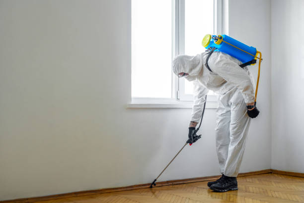 Best Pest Control Treatment  in Marfa, TX