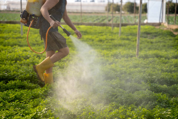Best Affordable Exterminators  in Marfa, TX
