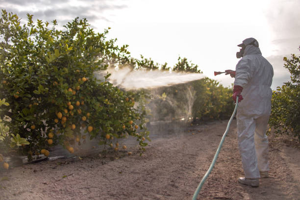 Best Mosquito Control Services  in Marfa, TX