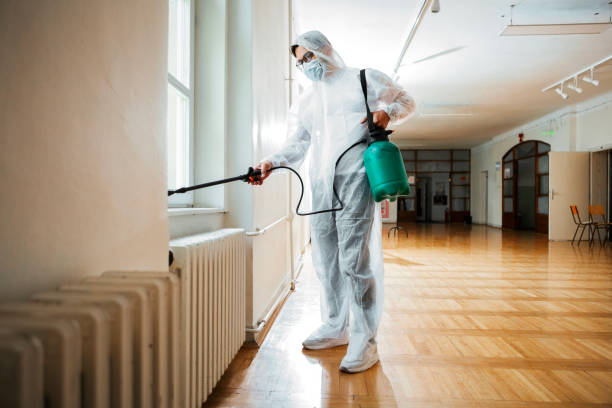 Wasp Removal Services in Marfa, TX