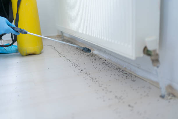 Best Residential Pest Control  in Marfa, TX
