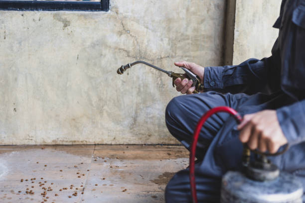 Best Best Pest Control Companies  in Marfa, TX